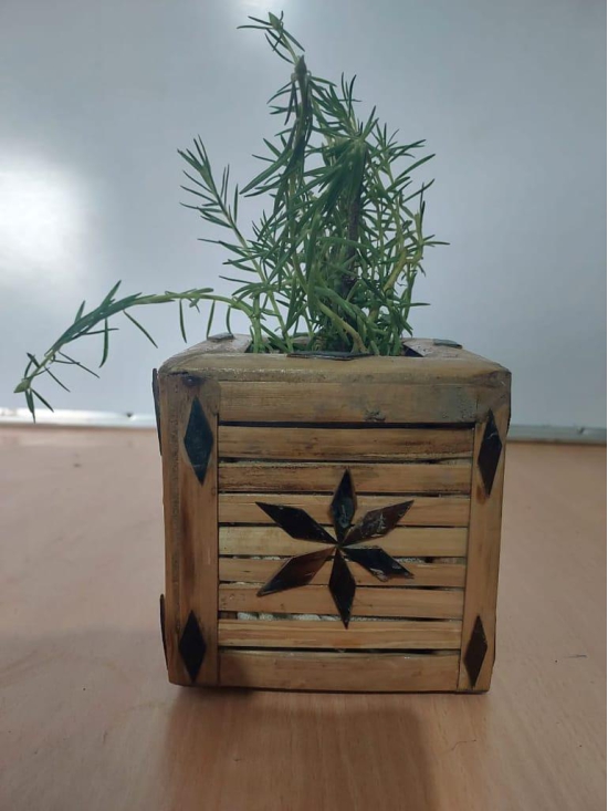 Bamboo Planter Pot