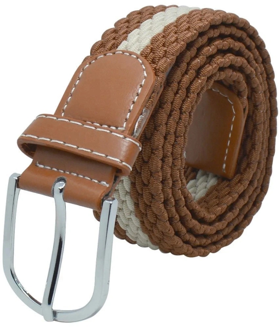 Loopa Brown Nylon Casual Belt Pack of 1 - None