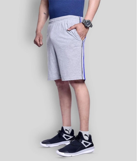 Zeffit - Grey Cotton Blend Mens Shorts ( Pack of 1 ) - None