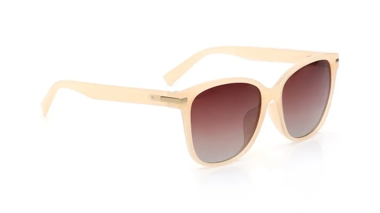 Brown Wayfarer Sunglasses for Women