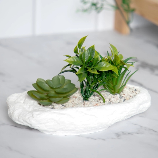 Anko Succulents in Bowl Planter for Indoor Use, Home Office, Garden, Balcony, Coastal Decor, Green & White, 19cm L x 11cm H x 10.5cm W-Anko Succulents in Bowl | Indoor Planter | Home, Office, Gar