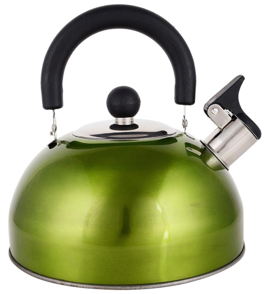 Renberg Induction Base Stainless Steel Whistling Kettle (2.25 Litres, Multicolour)