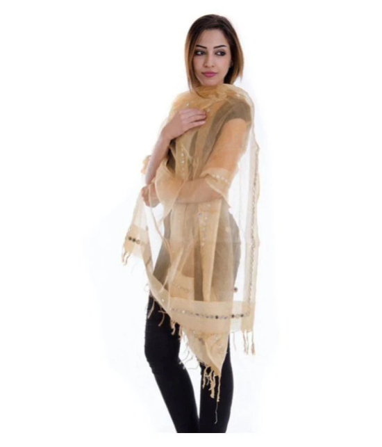 Raj Gold Tissue Dupatta