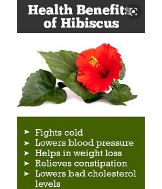 BioMed Hibiscus Powder 75 gm Pack Of 2