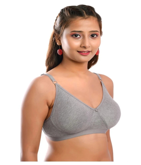 Elina Cotton T-Shirt Bra - Grey Single - 32C