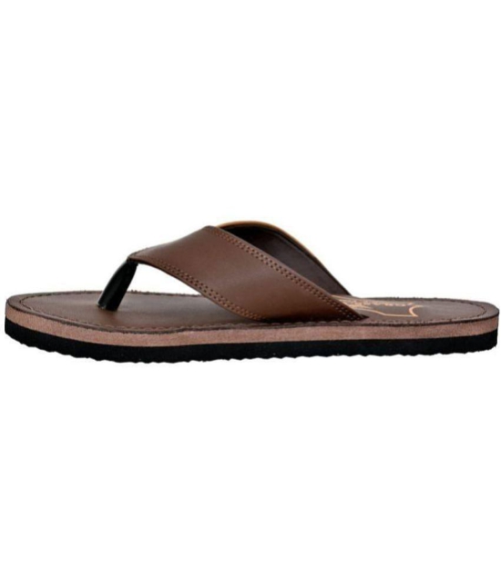 GRASS WALK - Brown Men's Leather Slipper - None