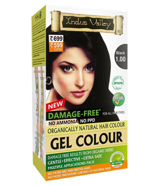 Indus Valley Organically Natural Hair Color Damage Free, No Ammonia Gel Hair Color Black 1.00 , black 1.00