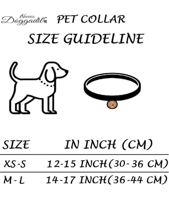 NUEVOS DOGGADIL - Black Collar ( Medium ) - None