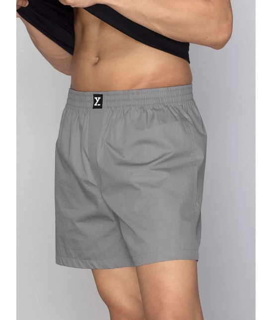 XYXX - Grey Cotton Mens Boxer- ( Pack of 1 ) - None