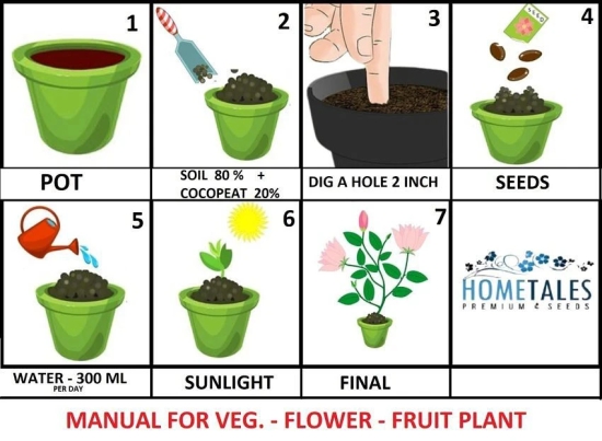 Vegetable Seeds combo for Kitchen Garden - 25+ Seeds | Easy to Grow with Instruction Manual