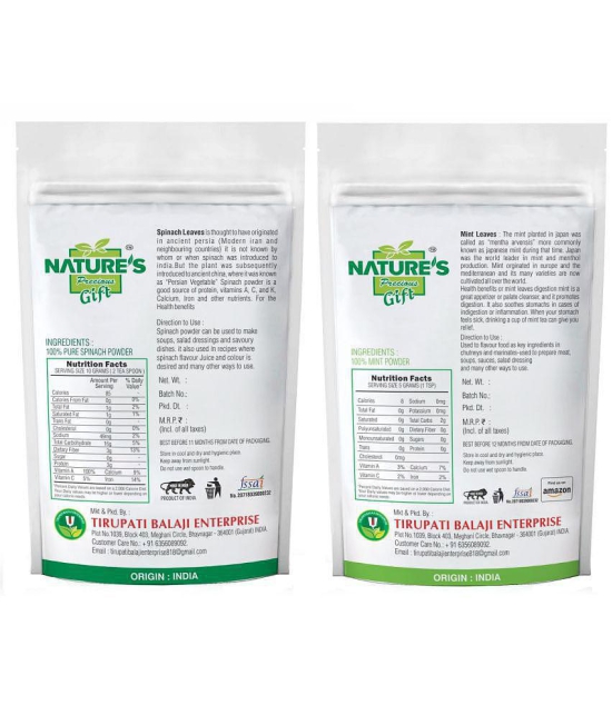 Natures Gift Spinach Powder, Coriander Powder, Curry Powder & Mint Powder - 100 GM Each Powder 100 gm Pack of 4