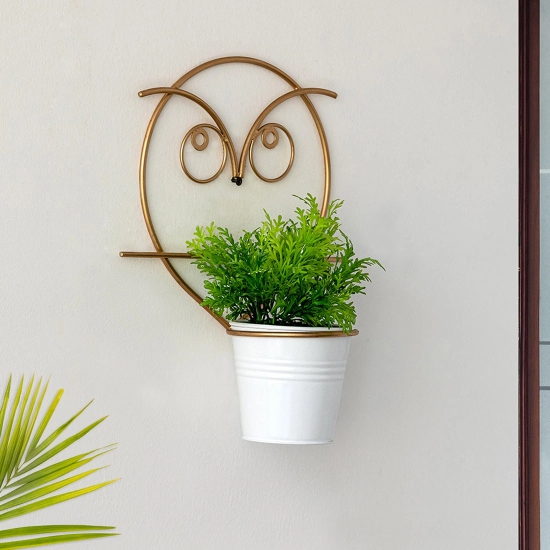 Angry Owl Wall Planter Pot In Galvanized Iron (10 Inch, Brass Finish)