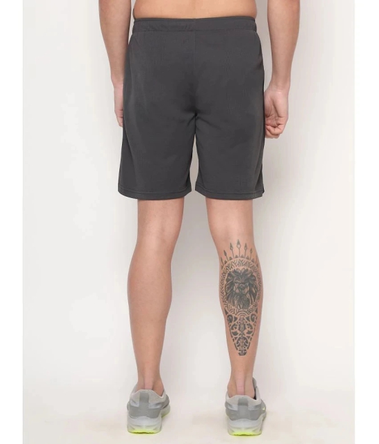 Dida - Dark Grey Polyester Mens Outdoor & Adventure Shorts ( Pack of 1 ) - None