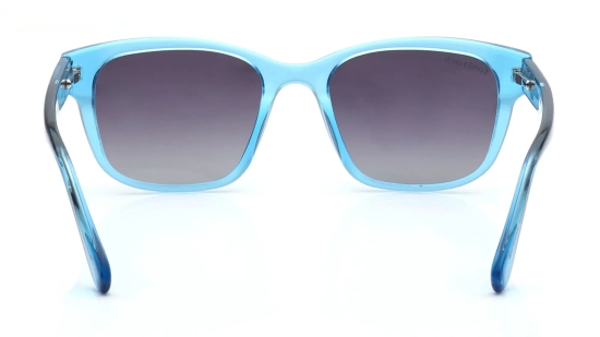 Grey Wayfarer Sunglasses for Men and Women