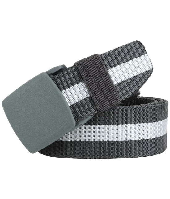 Loopa Multi Nylon Casual Belt Pack of 2 - None