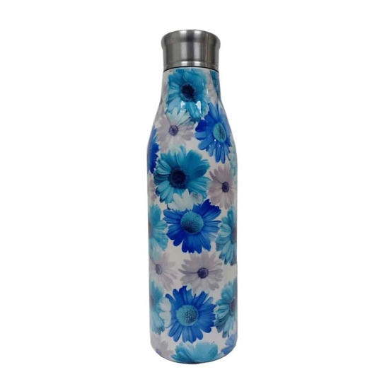 Premier Stainless Steel Color Printed Water Bottle 1000 & 750 ml - 1 Ltr