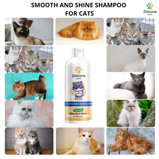 SMOOTH AND SHINE CAT SHAMPOO-5litre