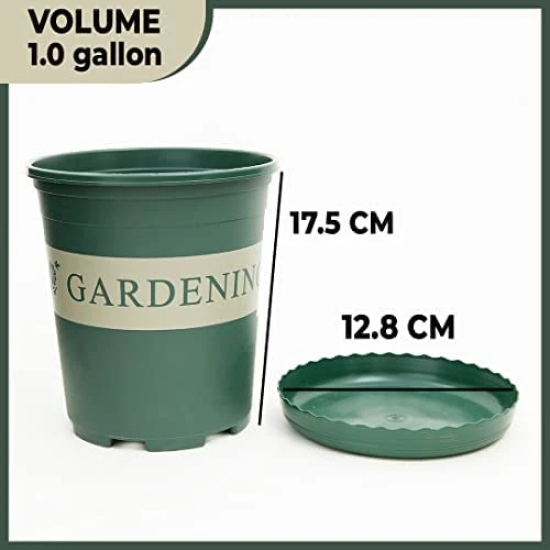 Urbane Home Plastic Plant Pot with Tray, Durable, Lightweight, Water Drainage Holes, for Patio, Garden, Home, Office, JL-1617 Mini Green.-Urbane Home Plastic Plant Pot|Indoor & Outdoor|With Tray|