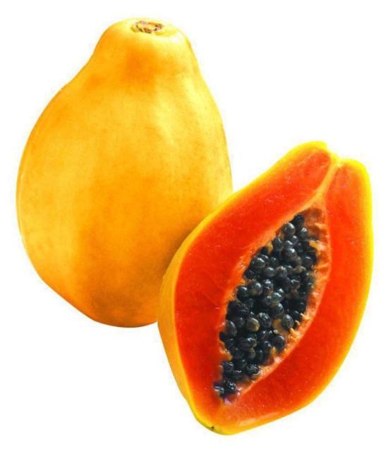 SarvaRetail Original Paudha PAPAYA Pure Seed ( Pack of 50 ) *Read Description