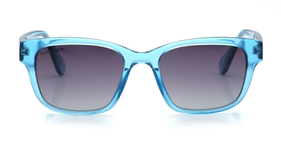 Grey Wayfarer Sunglasses for Men and Women