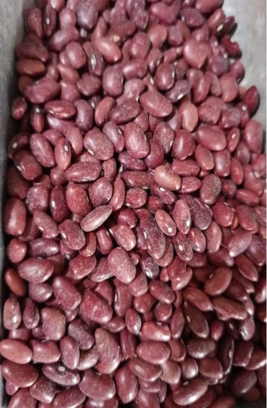 Red Kidney Beans, 500 gm