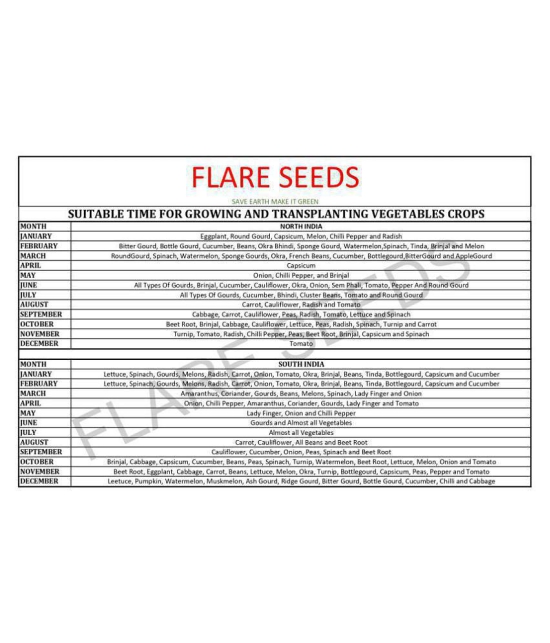 FLARE SEEDS Spinach Green Seeds - 50 Seeds Pack