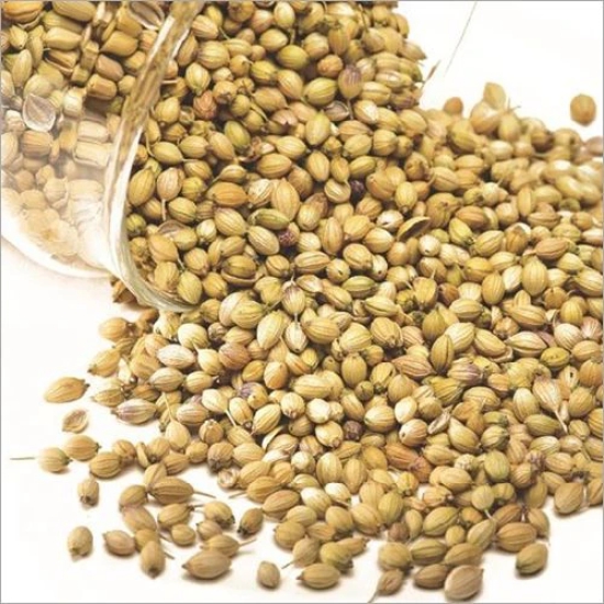 Vattam Coriander Seeds - Whole, 500 Gm