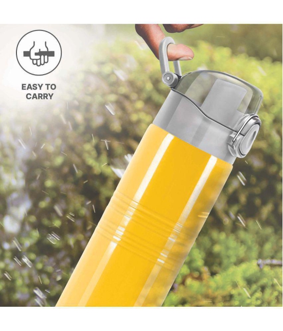 Milton Vogue 500 Stainless Steel Water Bottle, 490 ml, Yellow - Yellow