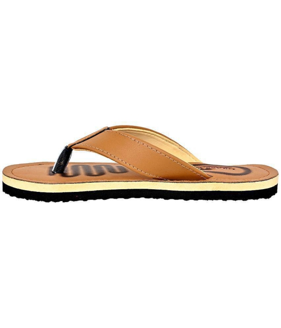 GRASS WALK - Tan Mens Thong Flip Flop - None