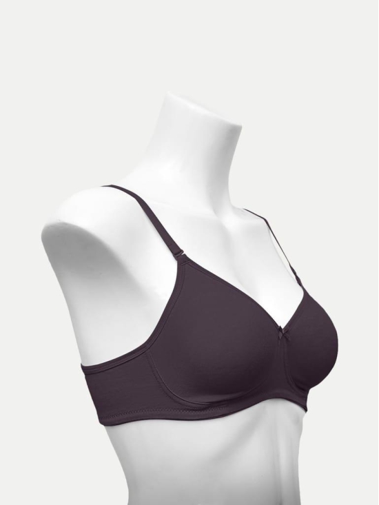 Women Zara Bra Maroon Color