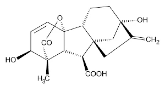 Gibberellic Acid-1KG / Industrial