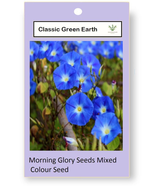 CLASSIC GREEN EARTH - Ipomoea Flower ( 20 Seeds )