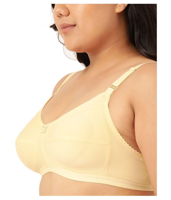 Leading Lady Cotton T-Shirt Bra - Beige Single - 46B