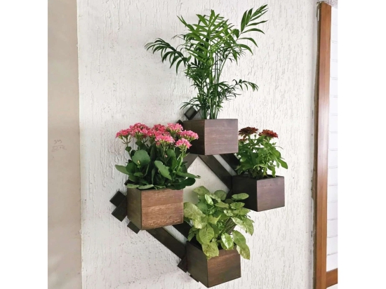 BARISH - Wall Mounted Planter - Diamond | Handcrafted with Rubberwood | Indoor Planter Frame with Stand 25 x 25 x 6 Inches - Walnut