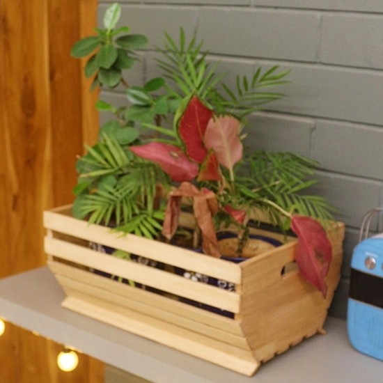 Barish - Handcrafted Rubberwood Planter Basket | Planter Baskets Living Room | Storage Baskets | Ideal for Gifting