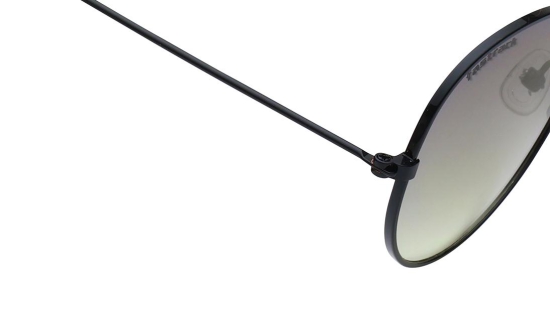 Black Round Unisex Sunglasses (M259GR5V)