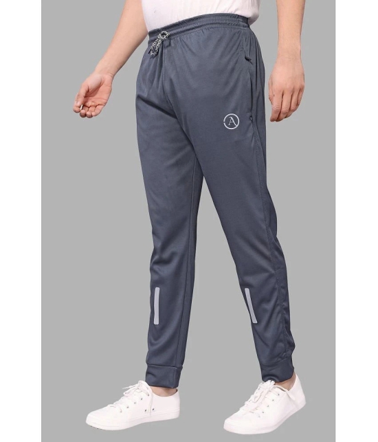 Anand Grey Lycra Mens Joggers ( Pack of 1 ) - None