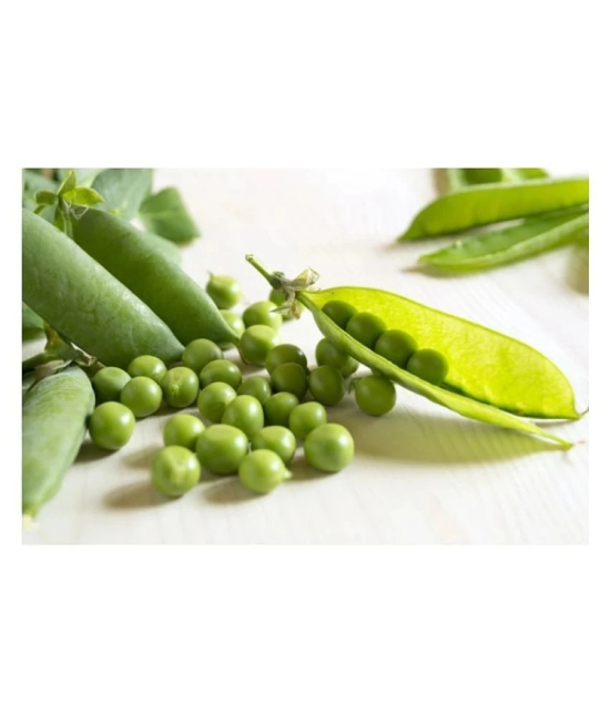 Joycity Peas Organic Vegetable Seeds- 100+ Seeds