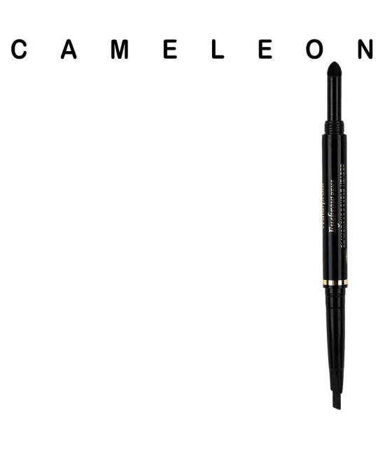 Cameleon Brow Eyebrow Kit Black 5 g