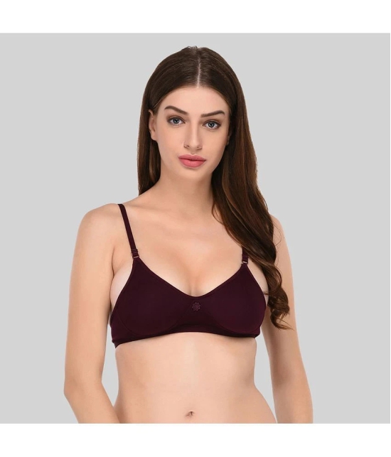 Elina Cotton Non Padded Womens T-Shirt Bra ( Purple ) - 40B