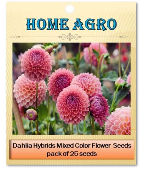 homeagro - Dahlia Mixed Flower ( 25 Seeds )