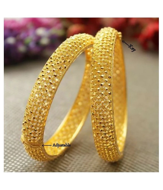 Vighnaharta Traditional Wear Adjustable 1gm Gold Plated Alloy Bangle (Kada, Tode) for Women and Girls - pack of 2 pcs Bangle- [VFJ1015BG2-6] - None