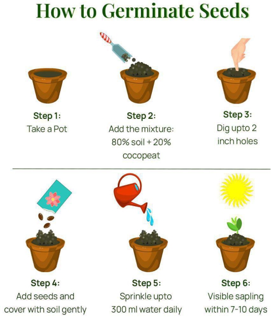 five veg combo (tomato,chiili,carrot,spinach,lady finger) 15 -15 seeds of each 1 oal 75 seeds combo with manual