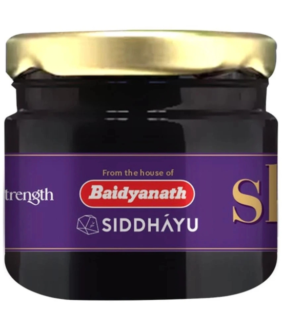 Baidyanath Himalayan Shilajit Resin 20gm - 100% Ayurvedic | Performance Booster For Endurance and Stamina