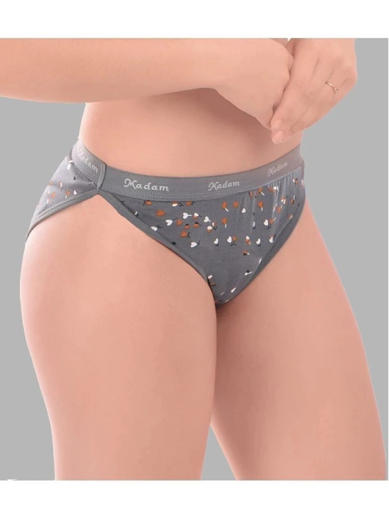 Madam Dark Grey PANTY Lace Printed Womens Hipster ( Pack of 1 ) - None