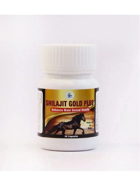 Shilajit Gold Plus Capsules|100% Ayurvedic | Pure & Natural Shilajeet| Boost Immunity,Night Stamina