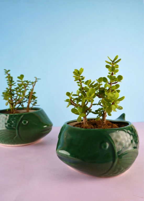 Green Catfish Planter