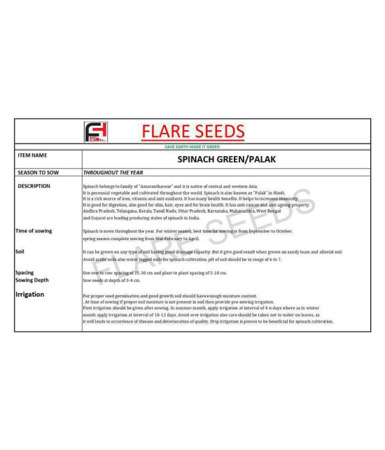 FLARE SEEDS Spinach Green Seeds - 50 Seeds Pack