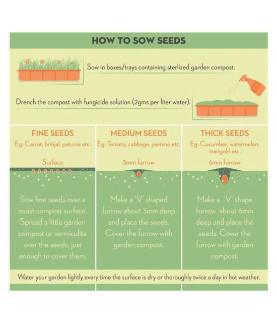 fruit seeds combo - 5 - 5 seeds of each one ( 20 seed ) lemon,grapes,papaya,guava - with instruction manual