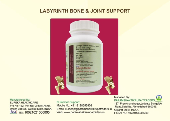 Labyrinth Joint Support_60T